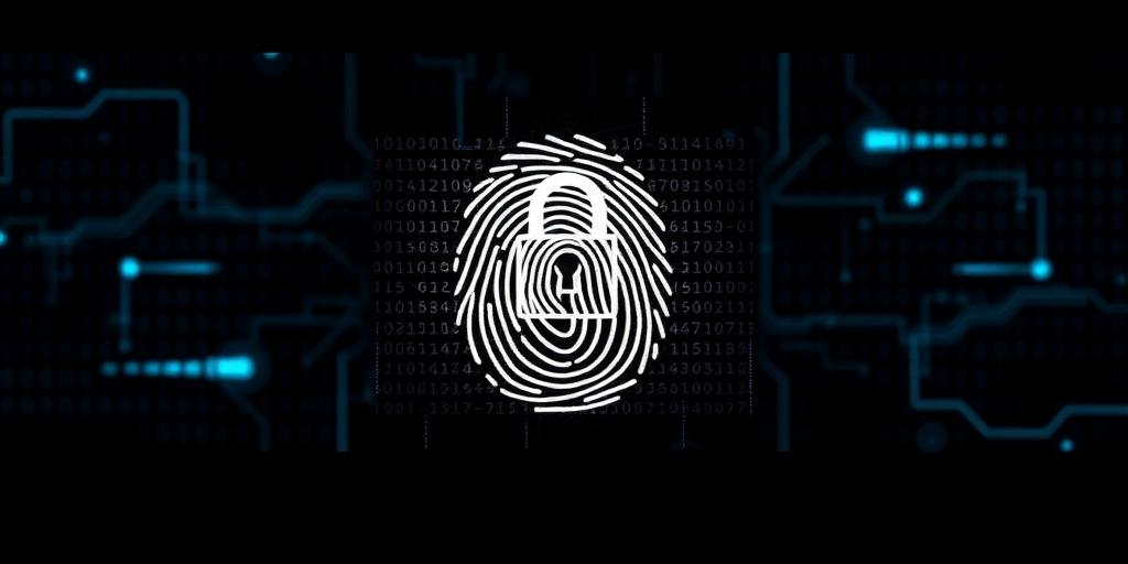 Who Really Owns Your Data? Exploring Digital Ownership Models